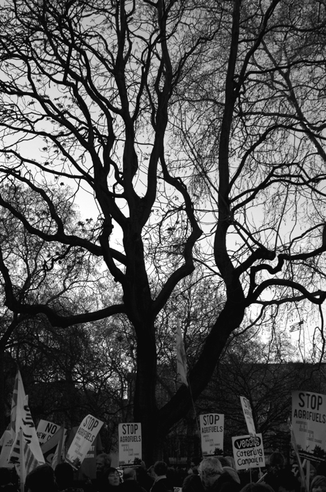 National climate March. Grosvenor Square to Parliament Sq. 06.12.08