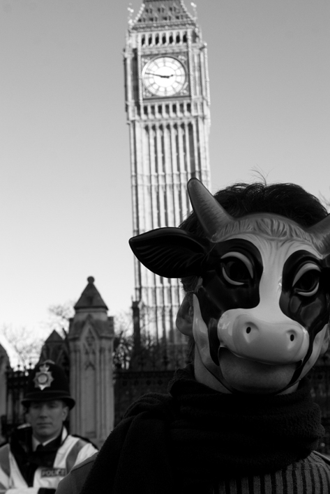 National climate March. Vegan demonstrator, Parliament Sq. 06.12.08