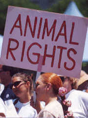 Animal Rights Banner