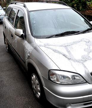 COUNCILLOR'S CARS ATTACKED IN PROTEST OF GROUSE SHOOTS (UK)