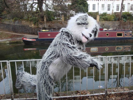 Jasmijn de Boo, Chair of Animals Count, also known as Happy Sheepdog - resized