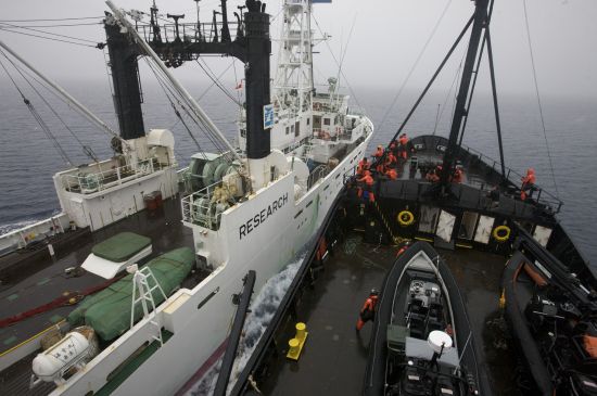 Steve Irwin collides with whaling spotter ship. Photo: Eric Cheng/Sea Shepherd
