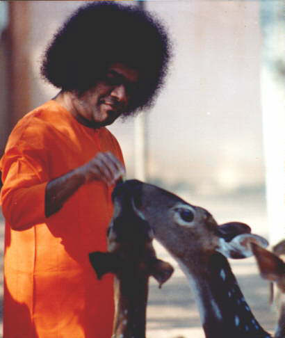 Love magnetizes the shy.