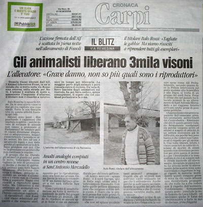 THOUSANDS OF MINK FREED FROM CAGES (Italy)