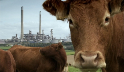 A Farm for the Future