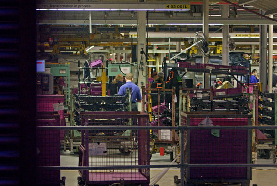 Shot of plant interior