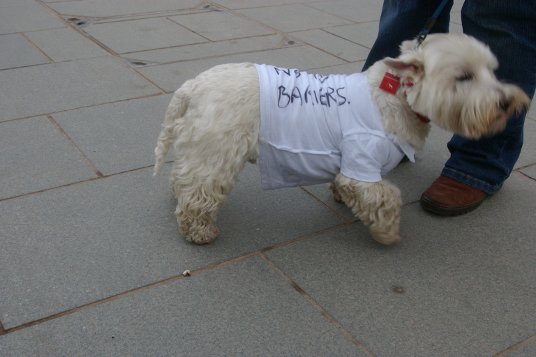 Keep Sheffield Station open to the public!!!