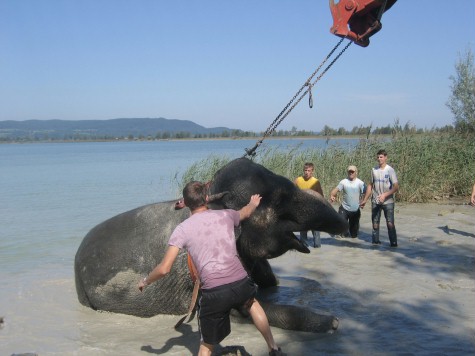 40yr old Dehli hoisted by crain after collapsing due to osteoarthritis