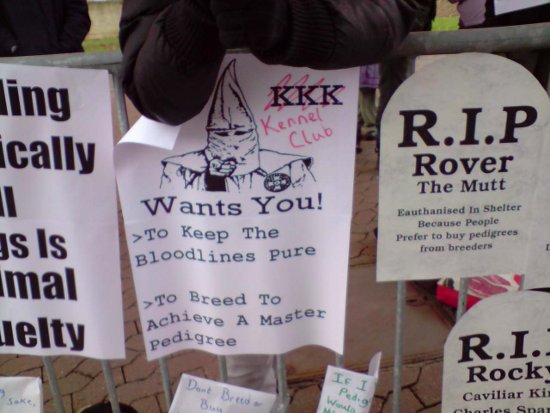 Who protects the purity of the bloodline?