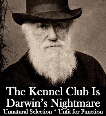 Darwin's Nightmare