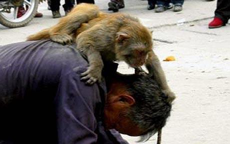 Pictures from The Telegraph