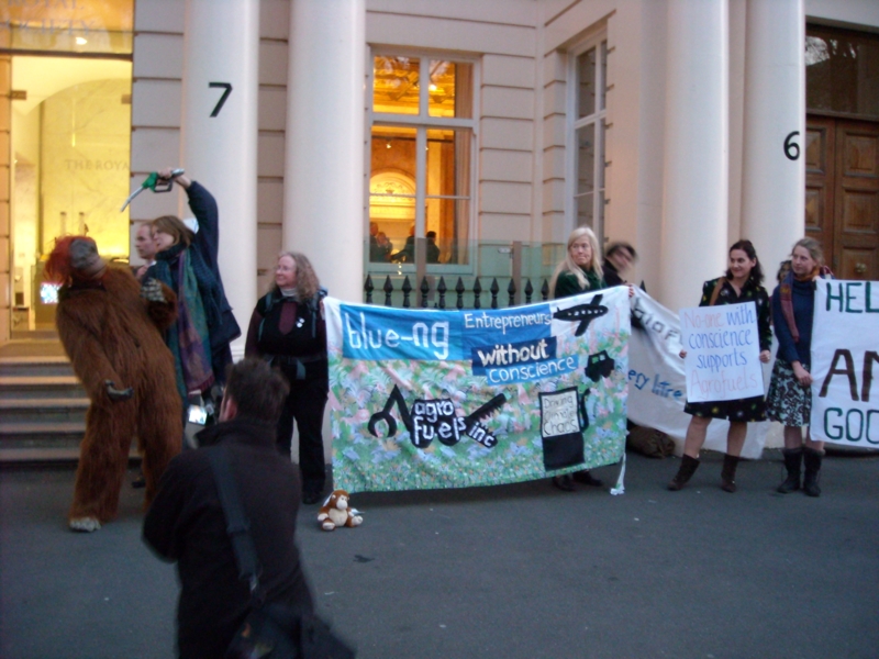 The orang-utan gets it!