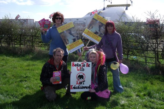 image resized to 550pxl