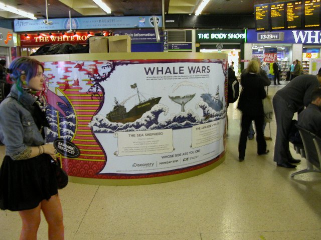 Whale Wars Stand at Leeds