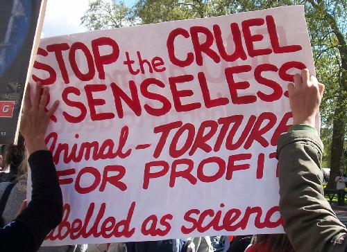 Stop the cruel and senseless animal torture