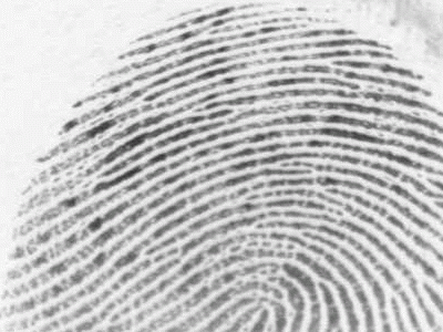 Mauro is in favour of the ethnic profiling of the Roma people