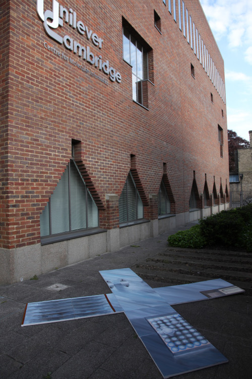 Unilever Cambridge photographer Kristian Buus