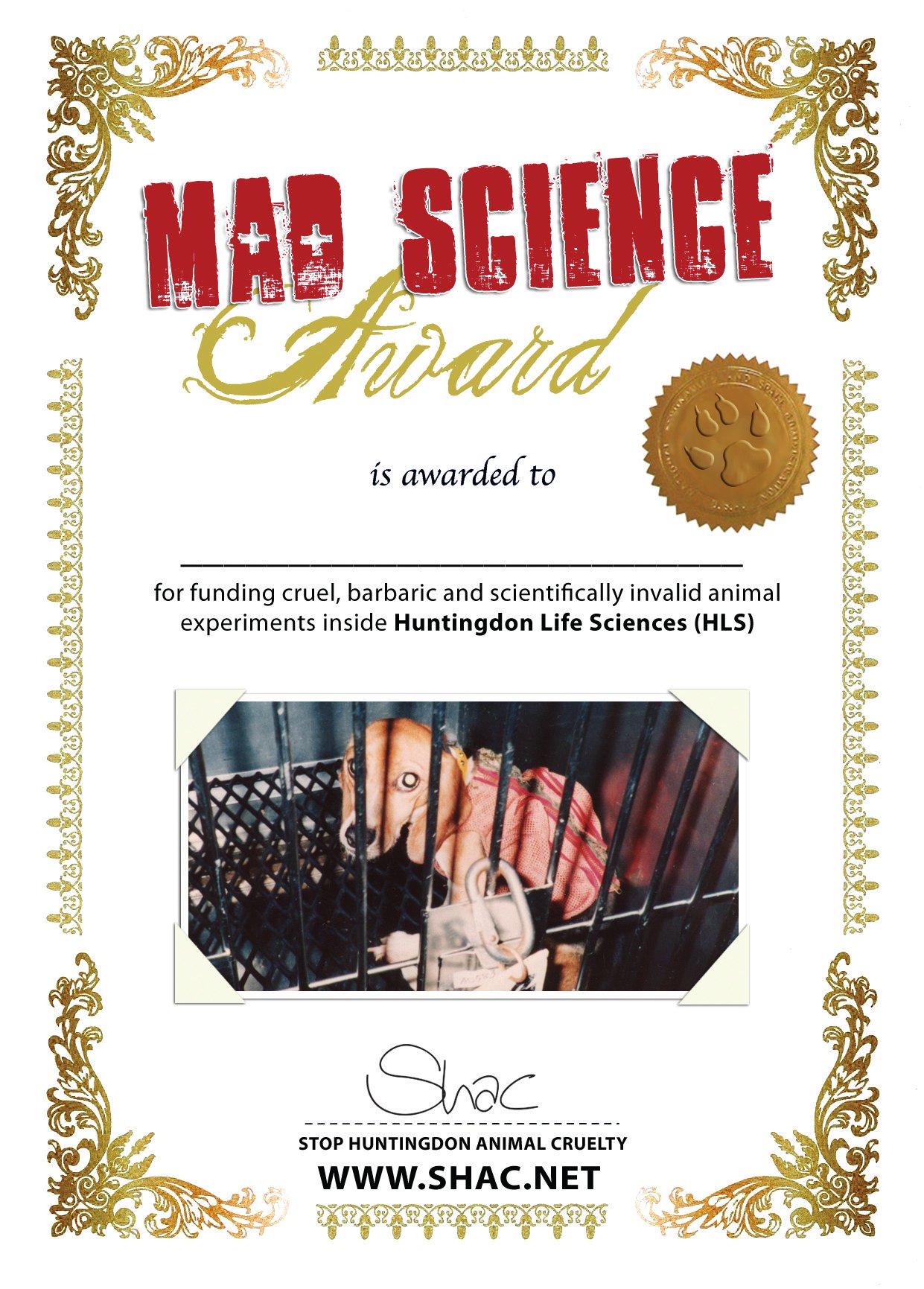 Mad Science Award