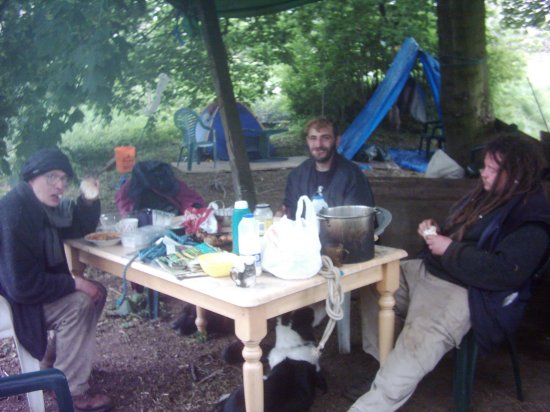 Please resize pictures to 550 pxl