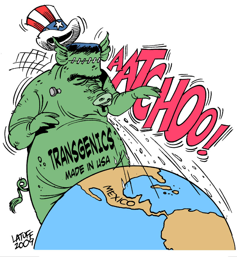 Swine Flu and the Transgenics