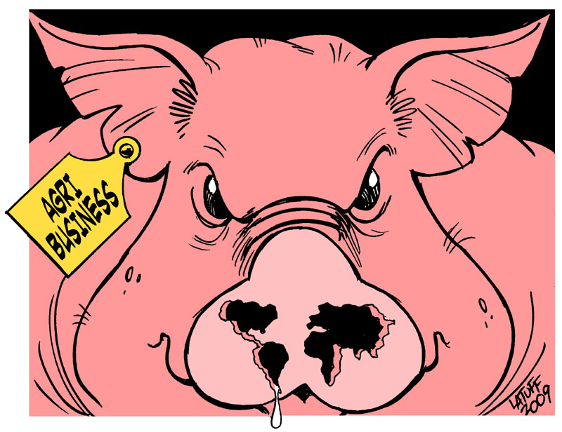 Swine Flu and the Agribusiness