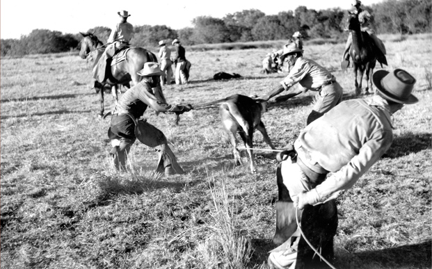 Intrinsic cruelty in cattle concentration camps