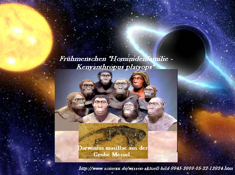 Darwinius masillae - Messel