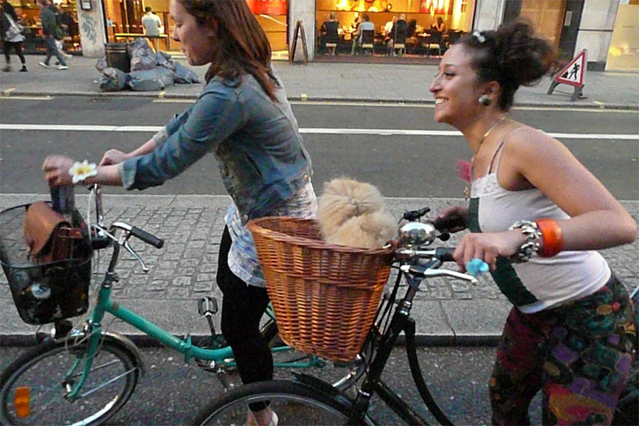 doggie mass 2 (in the basket)