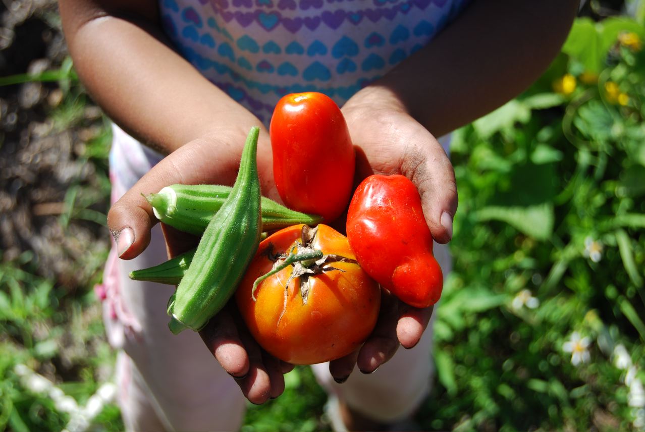 AVSI promotes sustainable development and healthy living in African communities