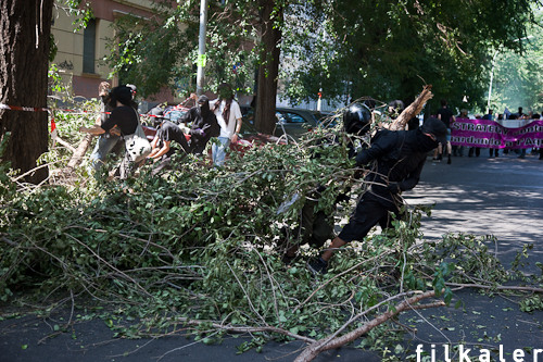 protesters use tree foliage