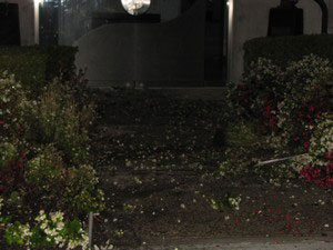 AFTER-HOURS VISIT TO HLS SUPPLIER (USA)