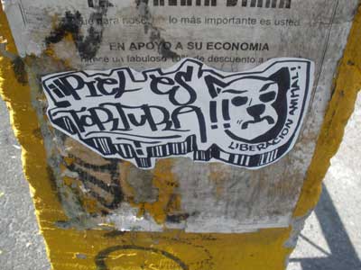 GRAFFITI FOR ANIMAL LIBERATION (Mexico)