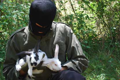 10 RABBITS LIBERATED (Spain)
