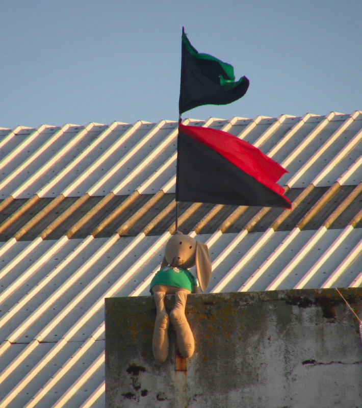 D4. Wadical Wabbit flies the ol’Red-Green-n-Black in the Golden Hour