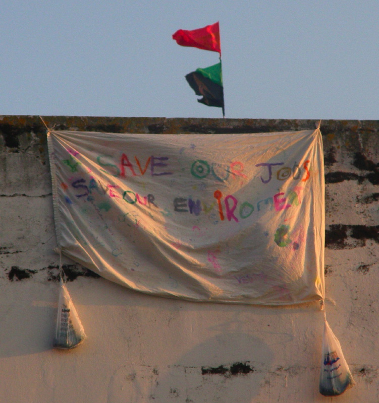 D5. Planet-Saving Banner by local 8-year-old