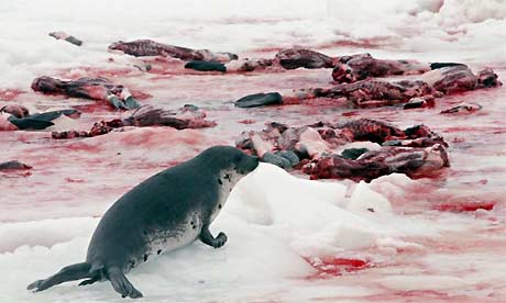 Men are the sealclubbers, matadors, slaughterhouse workers