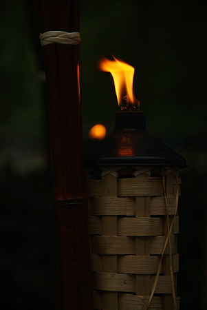 A single burning flame.