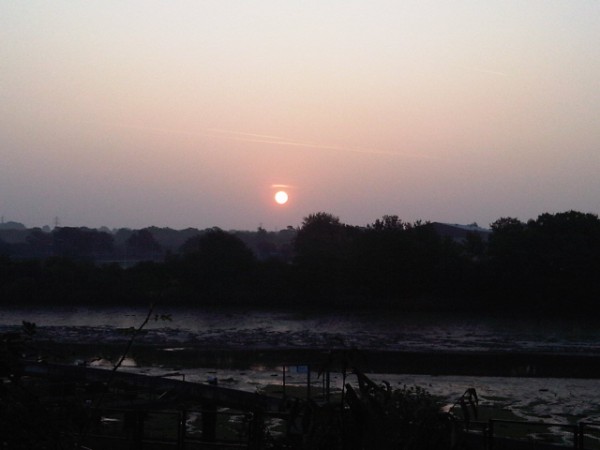 Dawn Sun (good for yer Vitamin D, apparas)