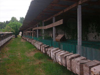 TWO FUR FARMS FOUND ABANDONED (Italy)