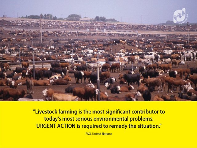 "Climate Change and Livestock Farming" slideshow by http://www.planetdiet.org