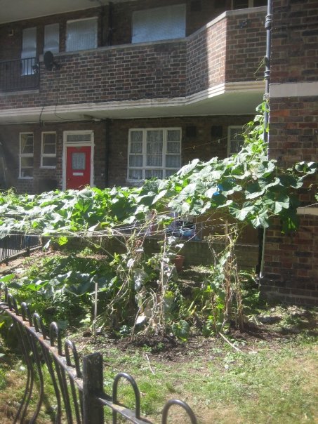 This is tenants a vegetable garden creatively carved out of the existing lawn.