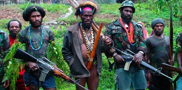 Forgotten Bird of Paradise image