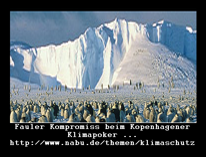 Kopenhagener Klimapoker