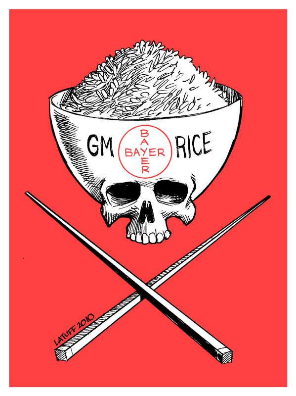 Bayer GM rice