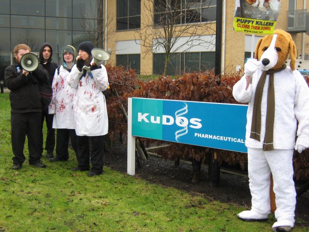 rally with megaphones