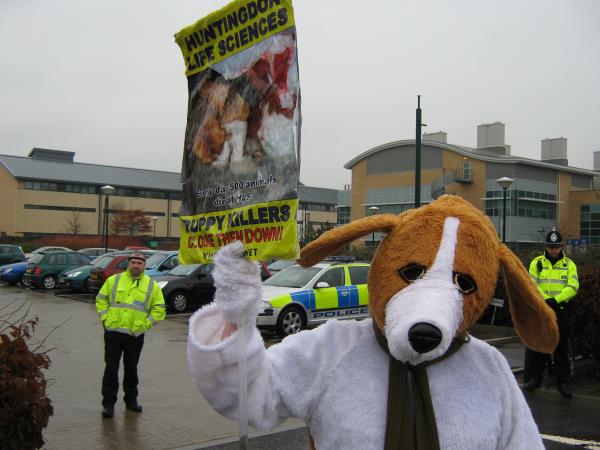 our doggy for the day