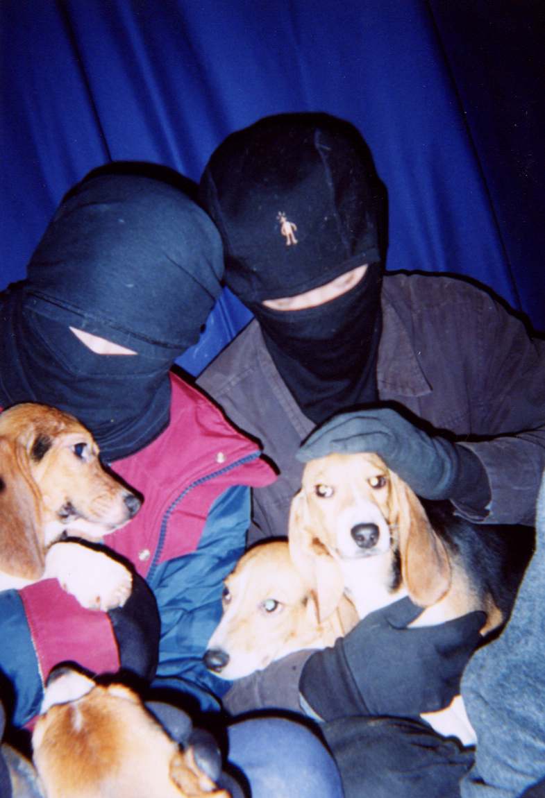 ALF Raid Marshall, NY, and free beagles.