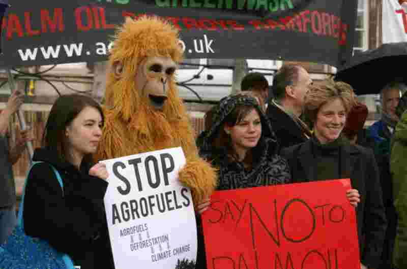 Agrofuels=Deforestation=Climate Change
