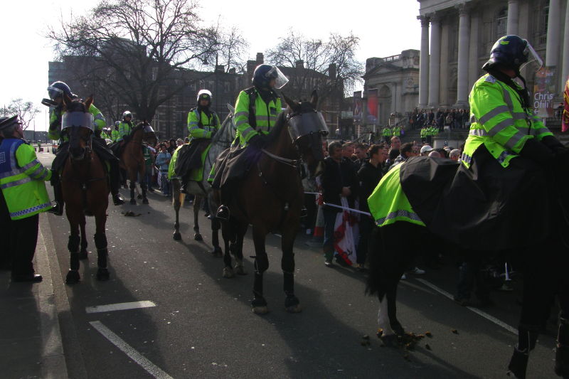 D2. Plexiglas Cavalry Escort