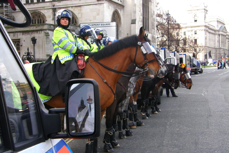 F2. Horses, Judy-Cop, and a Preponderance of Paddywagons